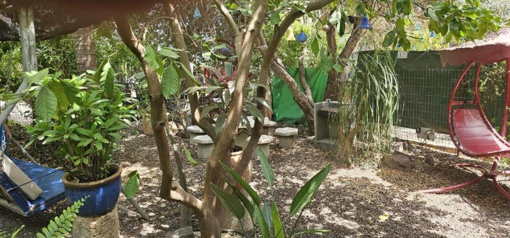 הוילה מגדל נופש דביר חדר תמונה